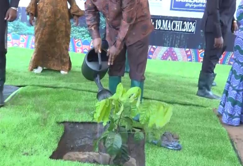 DKT.NCHIMBI UPANDAJI MITI