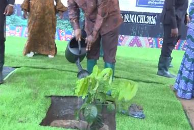 DKT.NCHIMBI UPANDAJI MITI